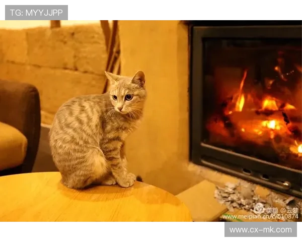 足球场上的孤独之夜：球星守夜迎接晨曦的瞬间揭秘